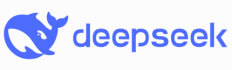 deep-seek-123